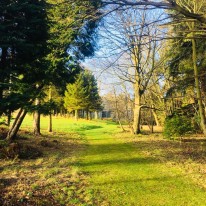 Gardens at Middleton Hall